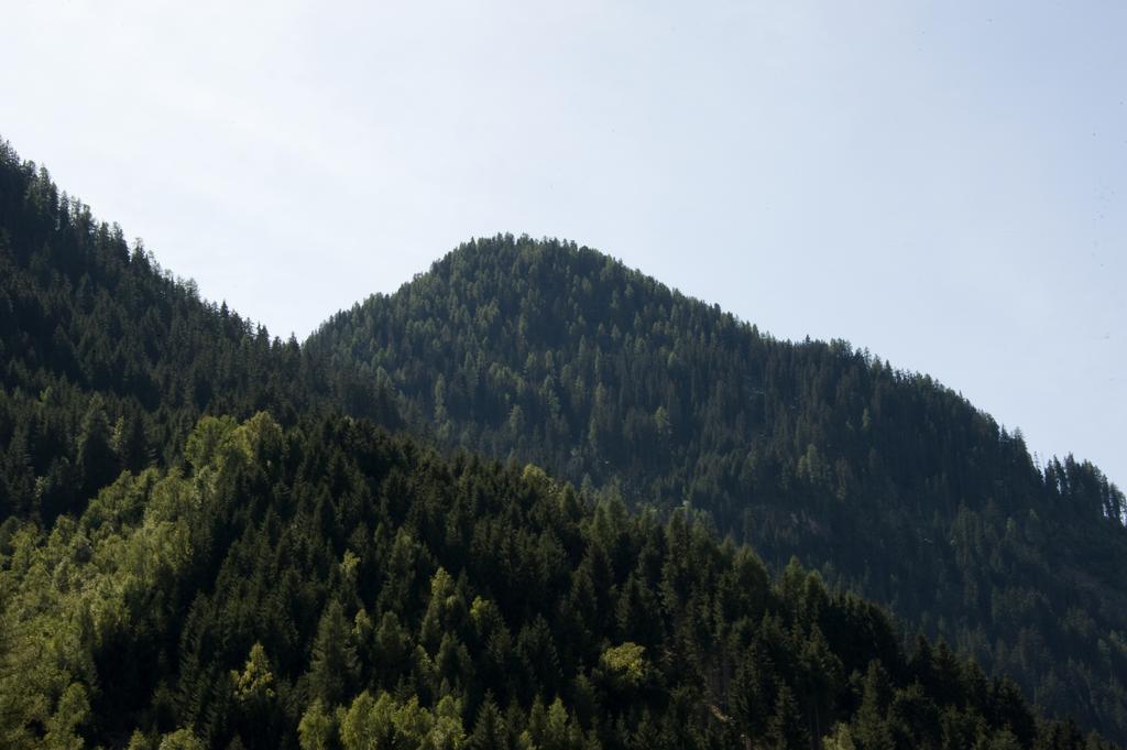 Haus Deiser Kappl  Pokoj fotografie